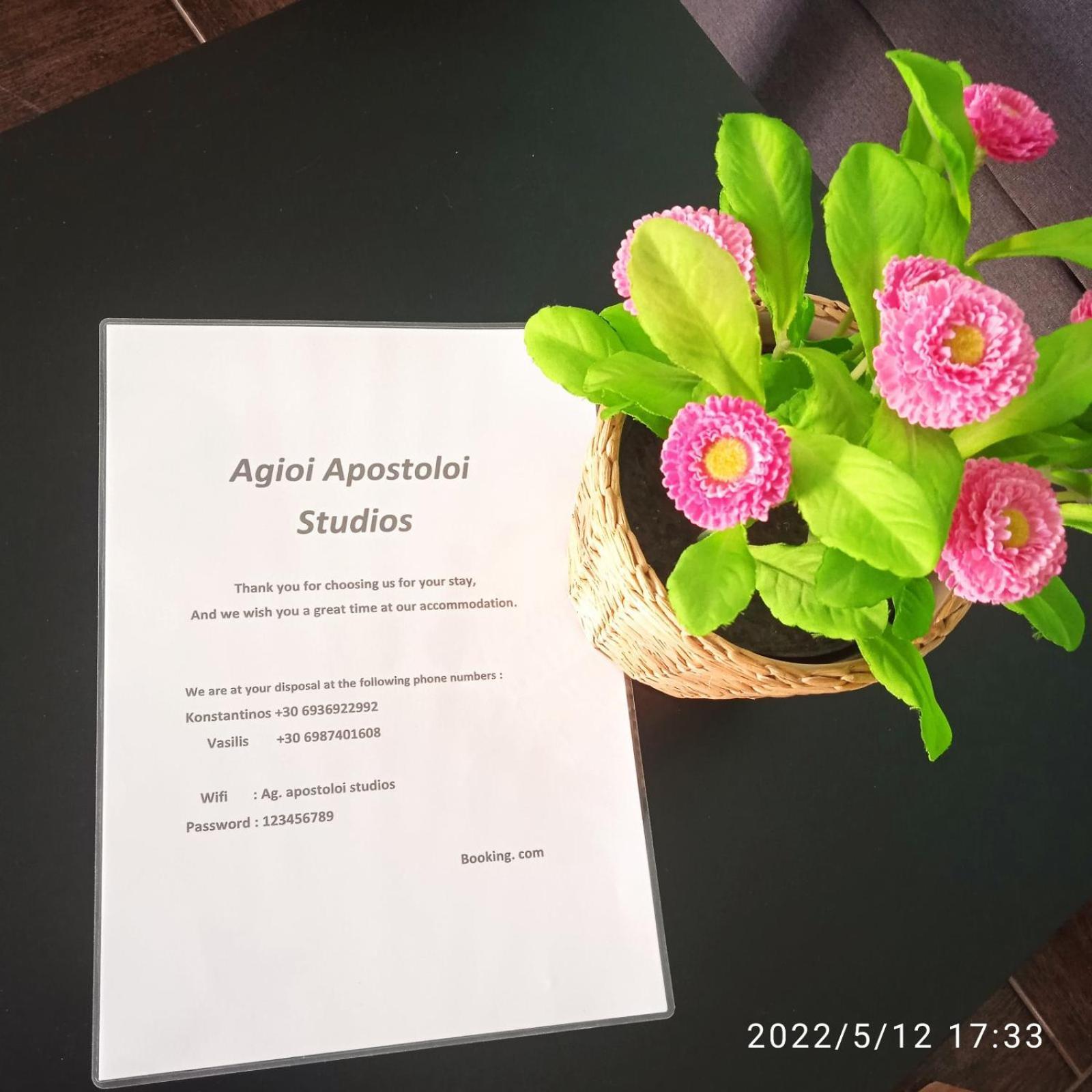 Ag.Apostoloi Studios Agioi Apostoloi  Oda fotoğraf